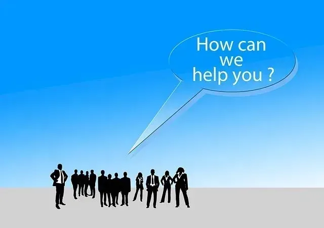 Are You the Director? Startups Mirroring Hollywood