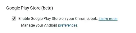 enable play store (beta) access